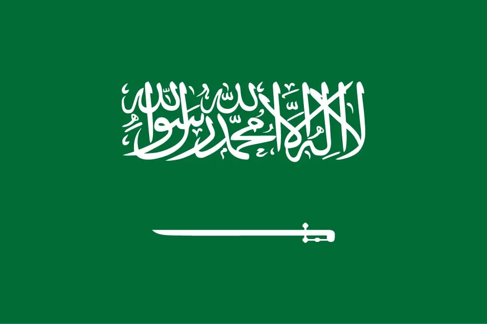 SA flag