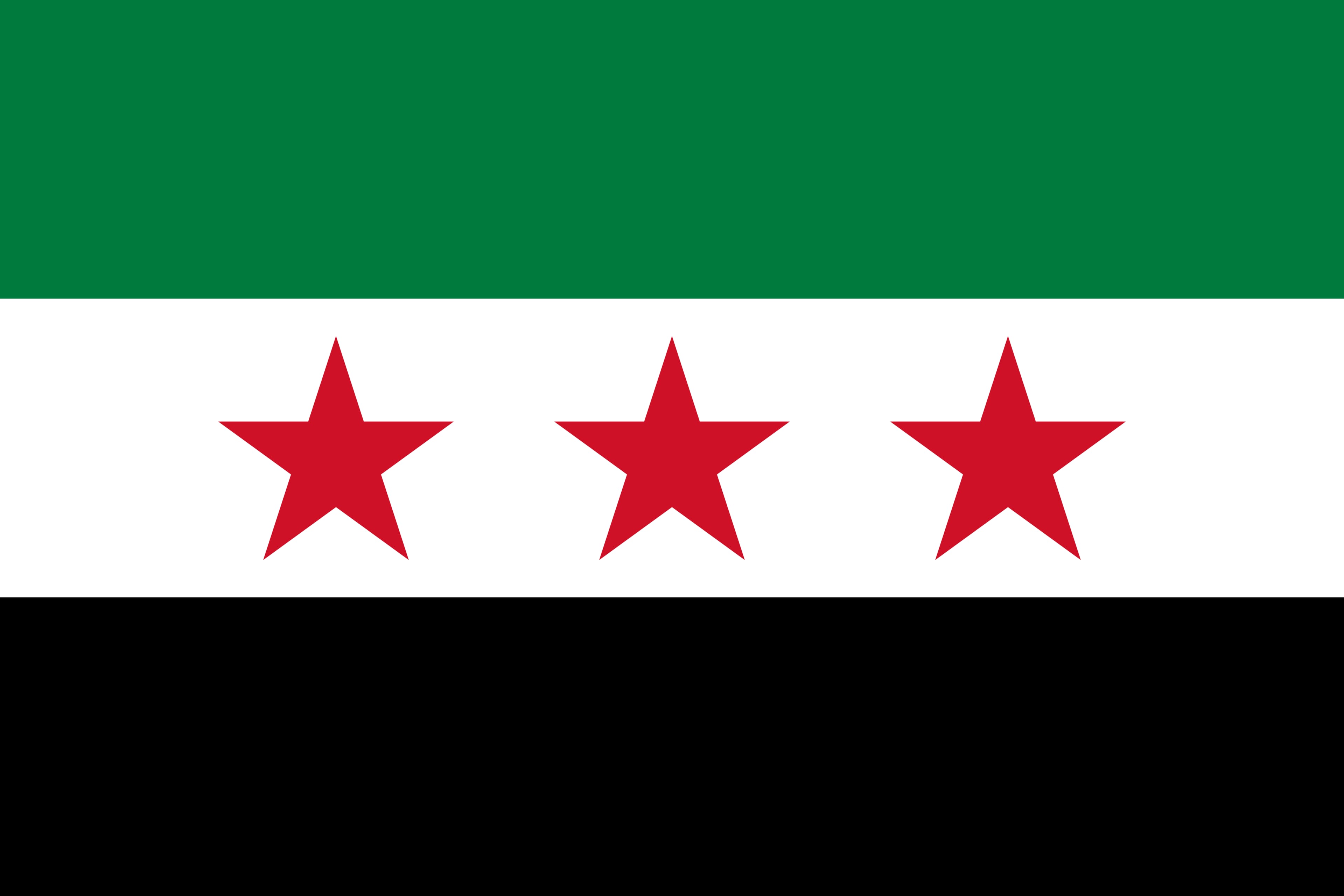 SY flag