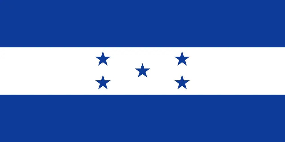 Logo del TLD