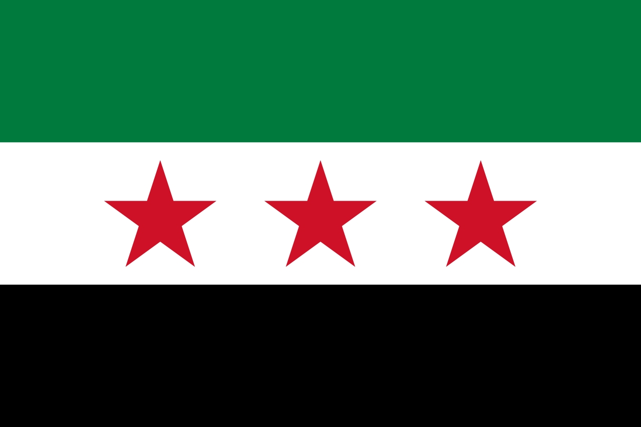 SY flag